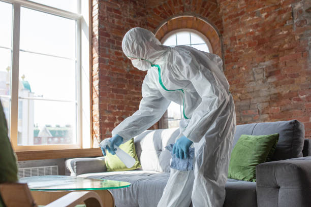 Best Mold Remediation for Rental Properties  in USA